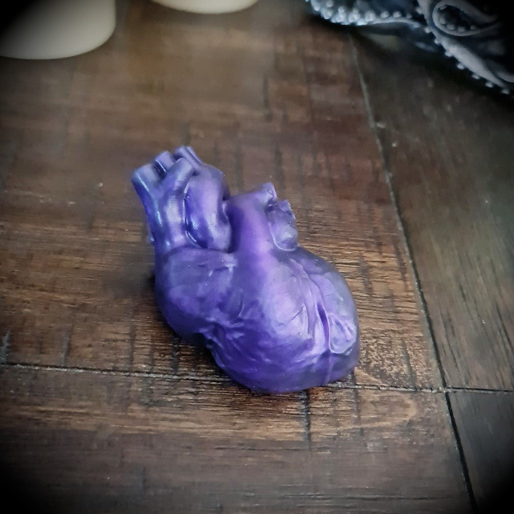 Anatomical Heart Squishy darque-path