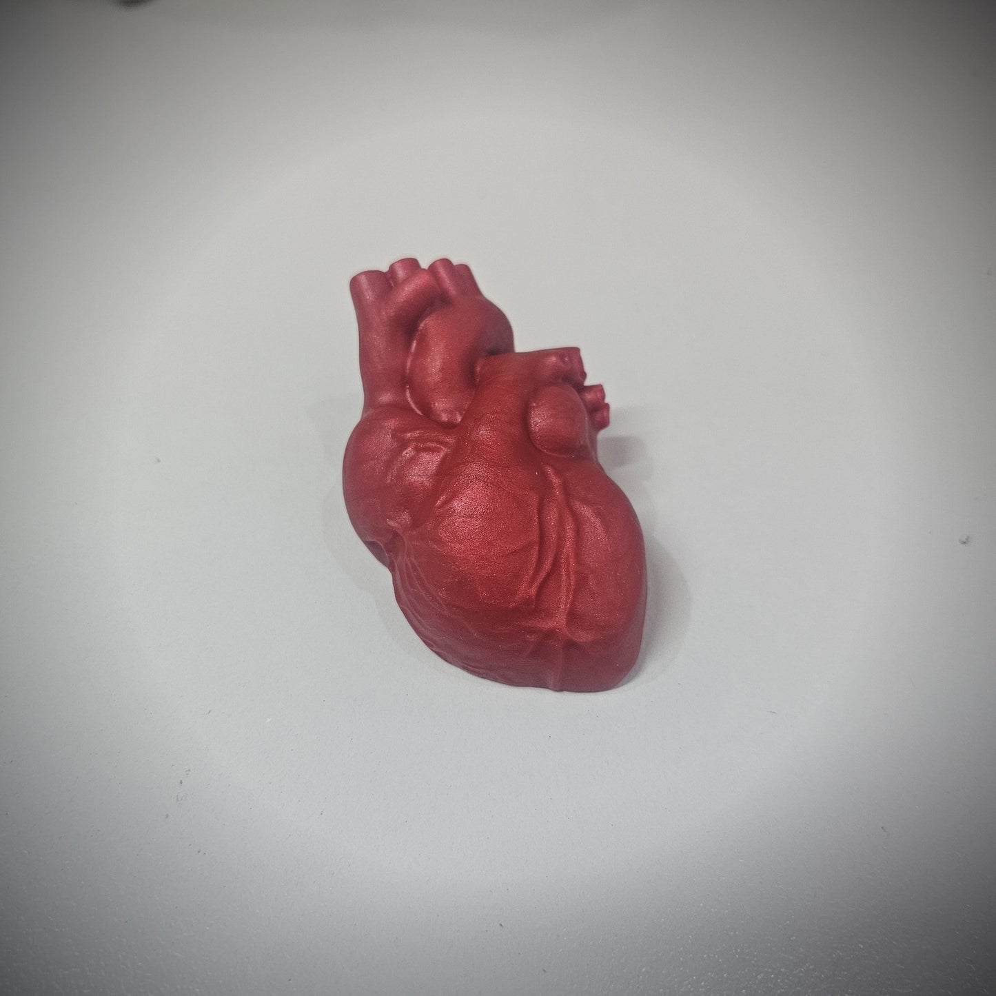 Anatomical Heart Squishy Assorted darque-path