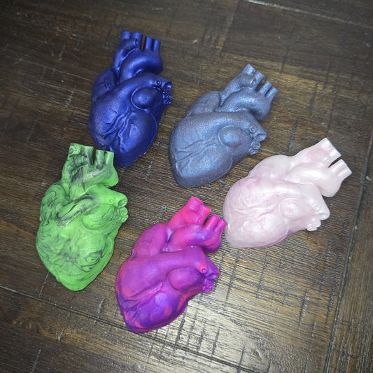 Anatomical Heart Squishy darque-path