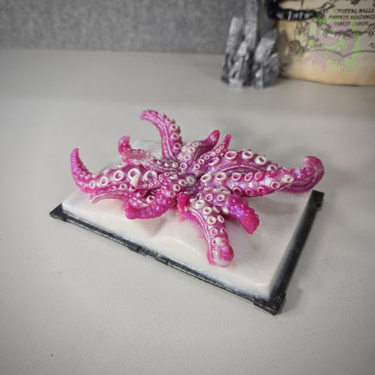 Spellbound Med 0050 darque-path
