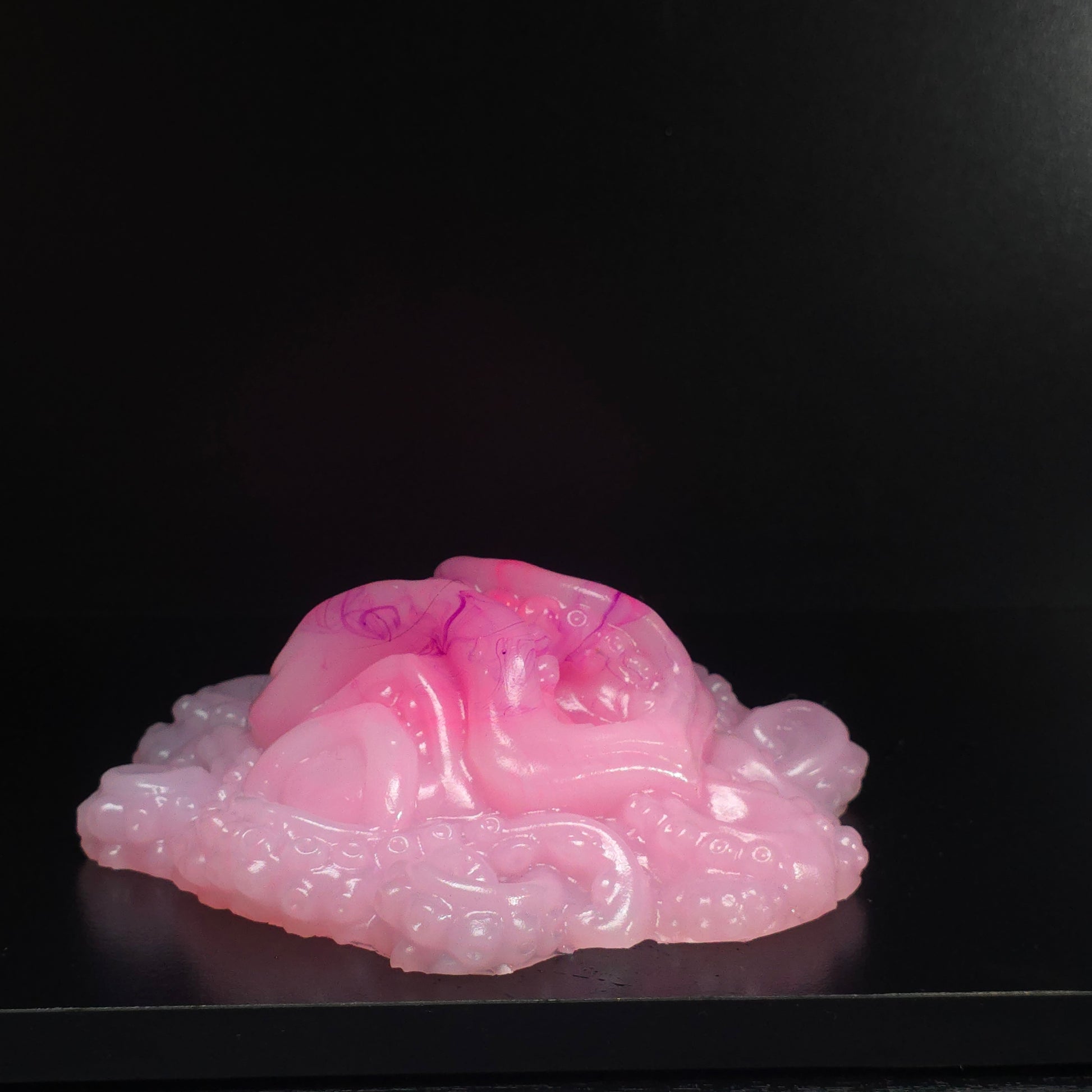 Maera UV Med 0050 darque-path