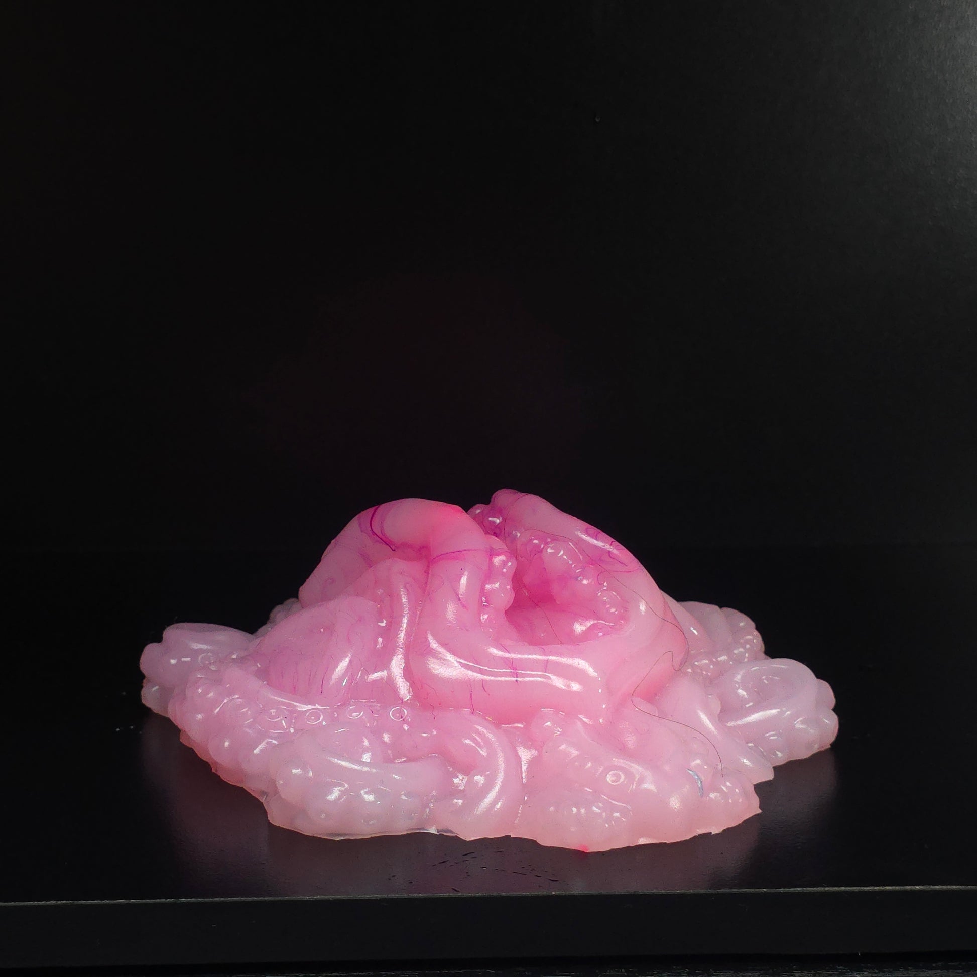 Maera UV Med 0050 darque-path