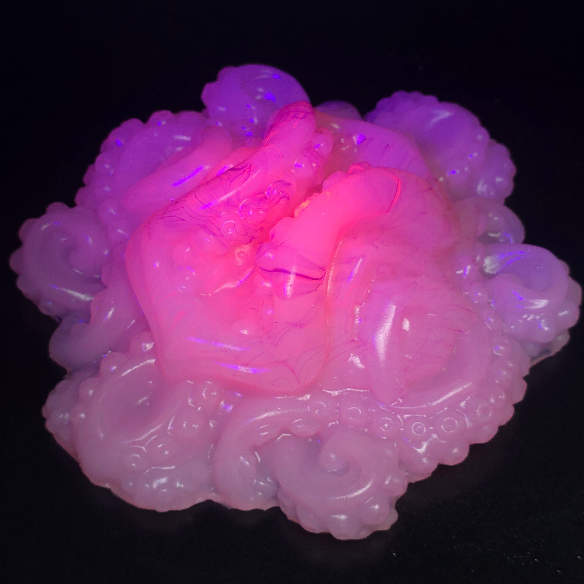 Maera UV Med 0050 darque-path