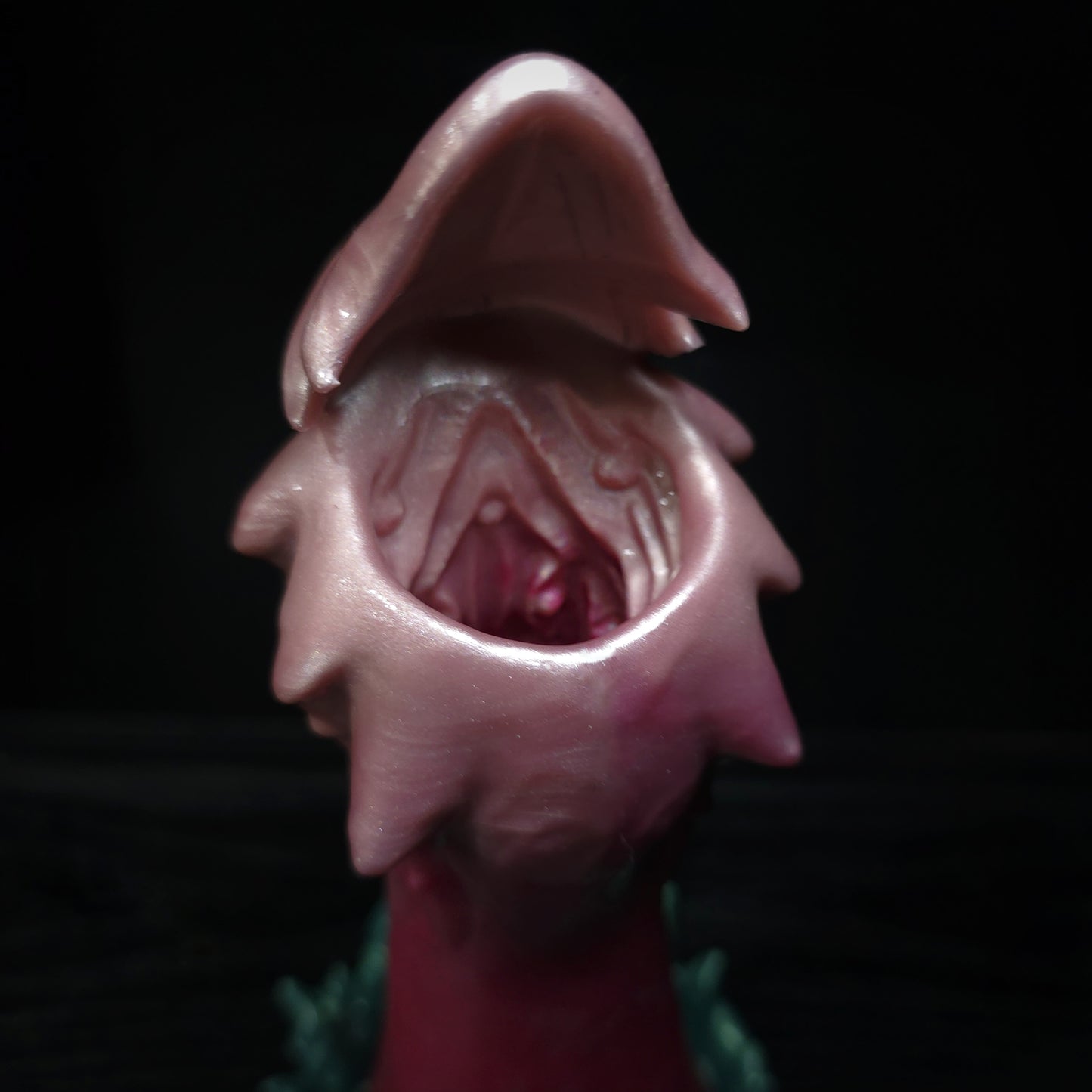 Nepenthes - Custom Colour darque-path