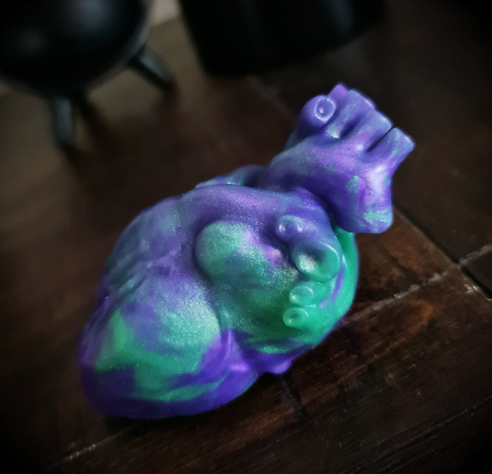 Anatomical Heart Squishy Darque Path